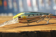 DTX Minnow Casting Lures