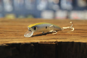Bass Pro Minnow Casting Lures